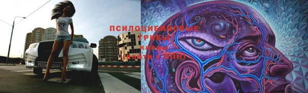 jwh Богданович
