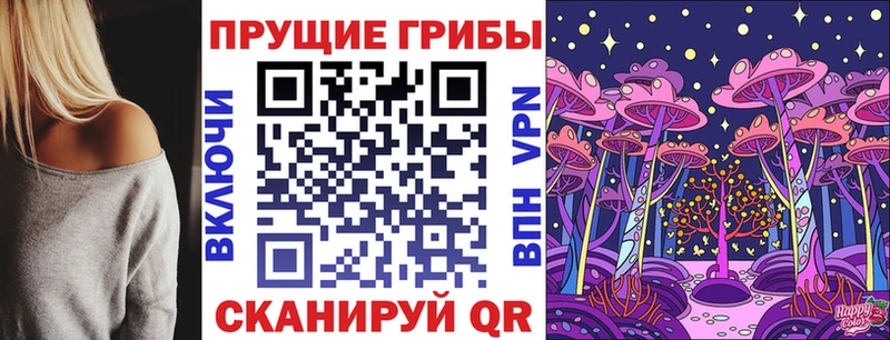 Псилоцибиновые грибы GOLDEN TEACHER  Купить закладки  Моршанск 