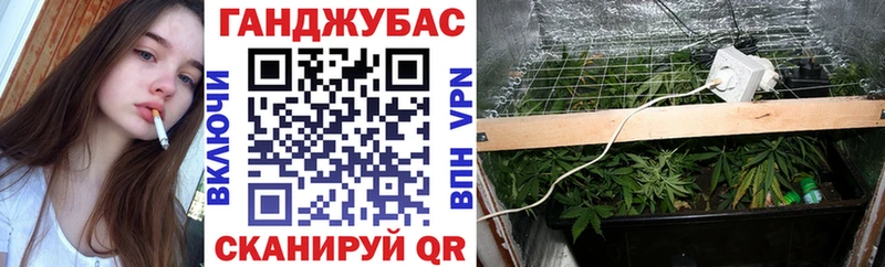 Шишки марихуана семена Моршанск